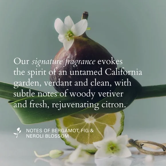 BNIB Roz Evergreen Style Cream 60mL - Picture 4 of 9